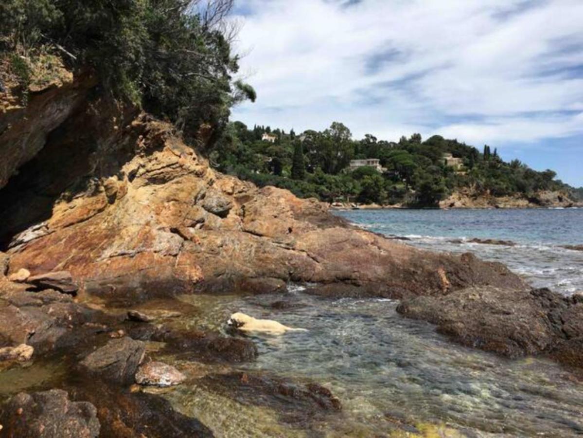 Villa Les Alizes Rayol-Canadel-sur-Mer Exterior foto