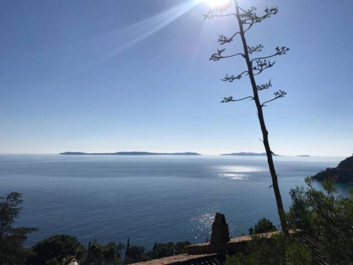 Villa Les Alizes Rayol-Canadel-sur-Mer Exterior foto